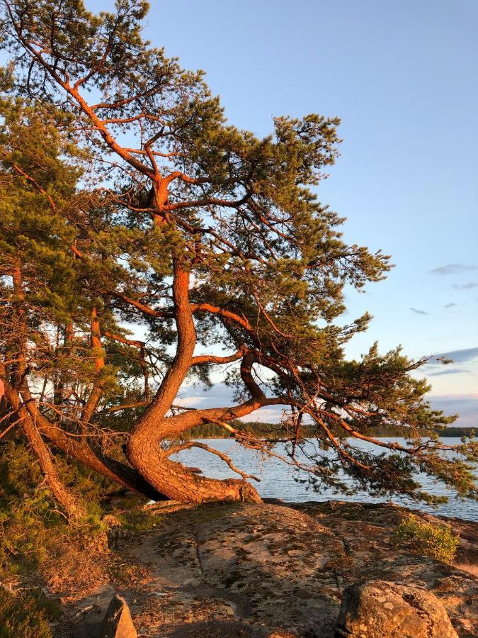 Joarsbo, Stuga 1, Sjoelyckan Kalv Luaran gambar